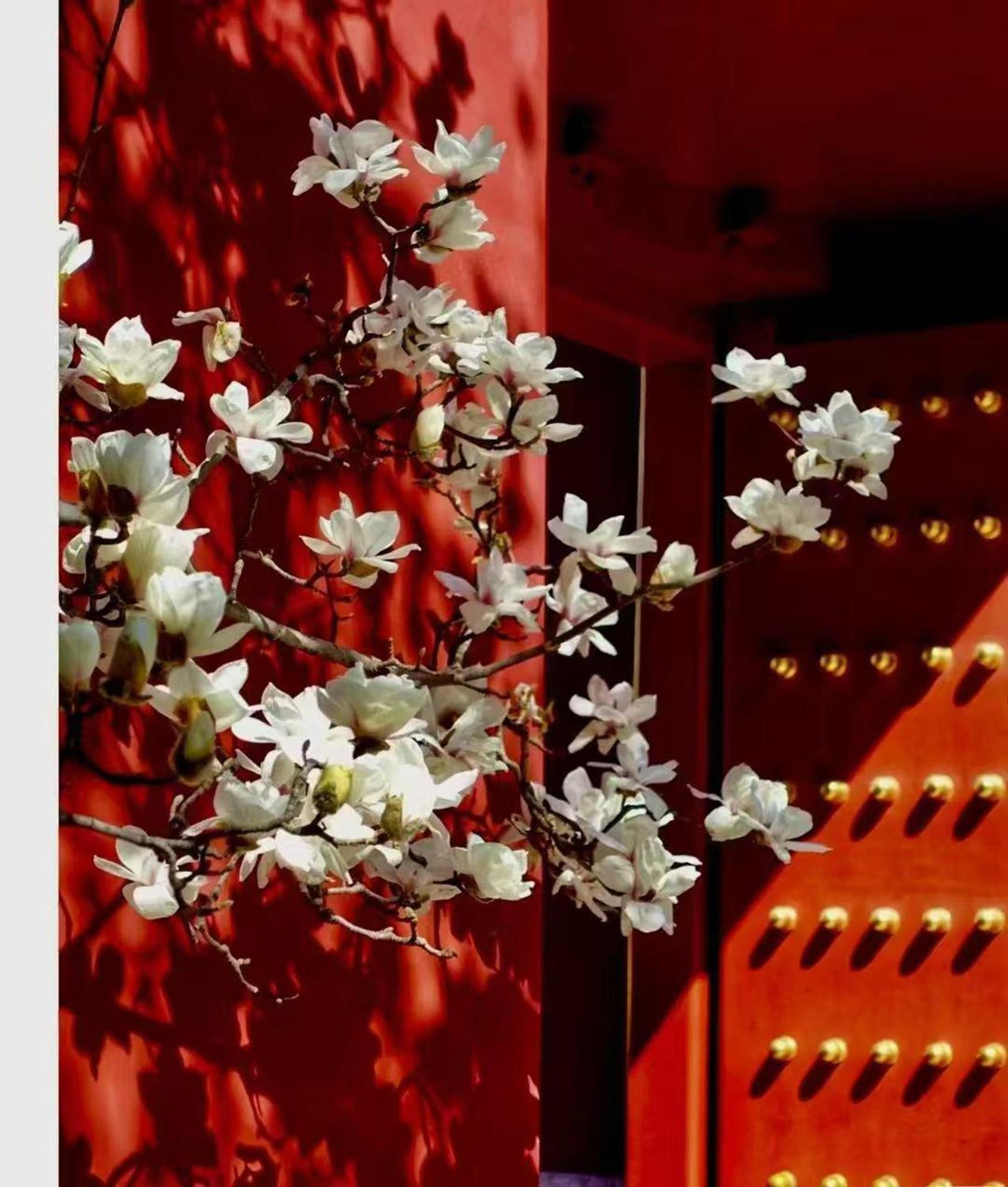 Hotel Cote Cour Deductive Beijing - Quadrangle Close To Tiananmen Square & Forbidden City & Nanluoguxiang, Walk To Wangfujing, English Speaking, Free Wifi, Free Laundry, Free Wonton & Noodles With Tour Ticket Service, Free Selfies With Ancient Costum Luaran gambar